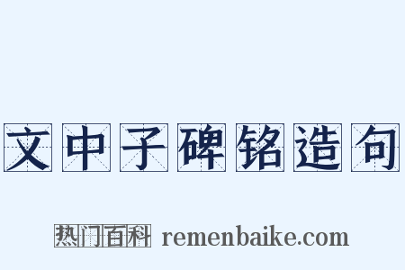 文中子碑铭造句是什么意思的图片